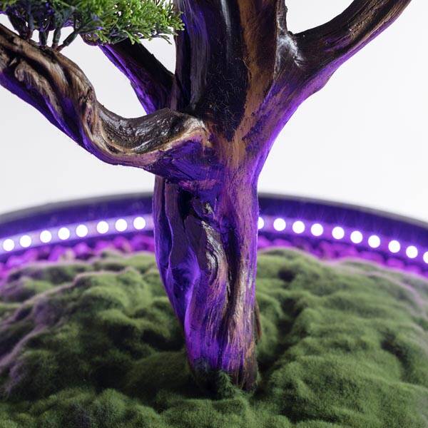 Işıklandırılmış Bonsai Ağacı-2 Saksılı Ç - 4
