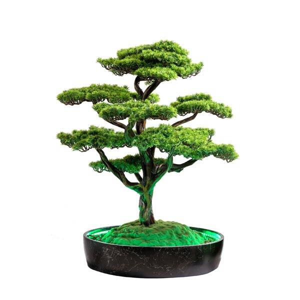 Işıklandırılmış Bonsai Ağacı-2 Saksılı Ç - 5