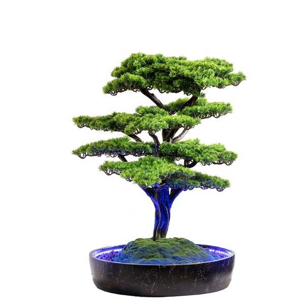 Işıklandırılmış Bonsai Ağacı-2 Saksılı Ç - 6