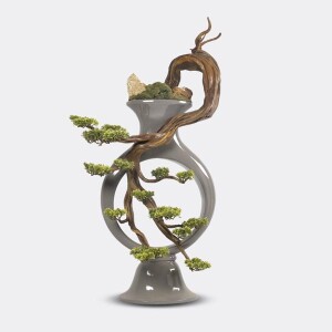 Kraz Bonsai Saksılı Çiçek - TepeHome