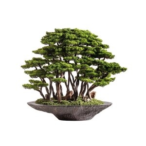 Kursa Bonsai Garden Saksılı Çiçek - TepeHome