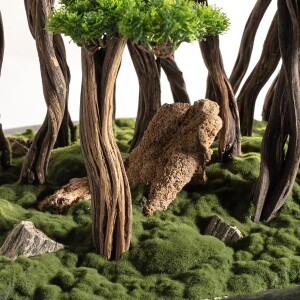 Kursa Bonsai Garden - 3
