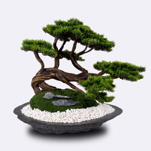Kursa Thuja-3 - TepeHome