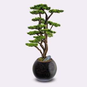 Mira Bonsai-1 Saksılı Çiçek - 1