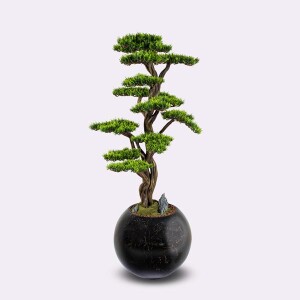 Mira Bonsai-1 - TepeHome (1)