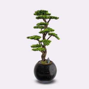 Mira Bonsai-1 Saksılı Çiçek - TepeHome (1)