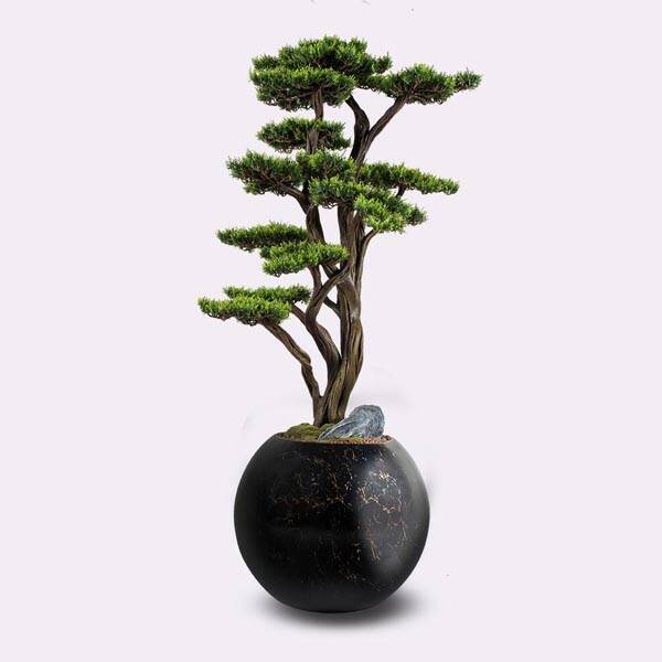 Mira Bonsai-1 Saksılı Çiçek - 4