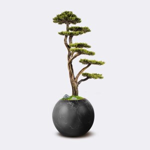 Mira Bonsai-2 Saksılı Çiçek - TepeHome