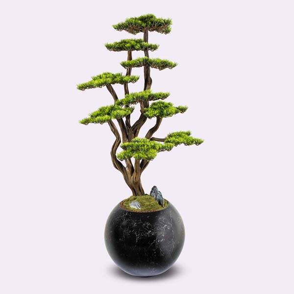 Mira Bonsai-4 - 2