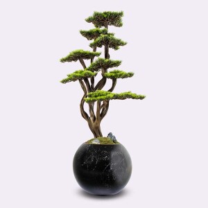 Mira Bonsai-4 - 3