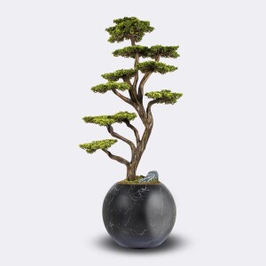 Mira Bonsai-5 Saksılı Çiçek - TepeHome