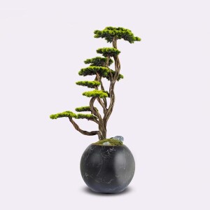 Mira Bonsai-6 - TepeHome