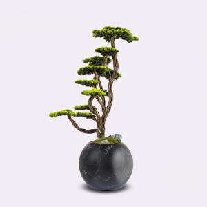 Mira Bonsai-6 Saksılı Çiçek - 1