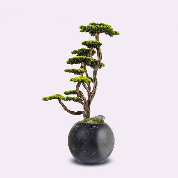 Mira Bonsai-6 - 1