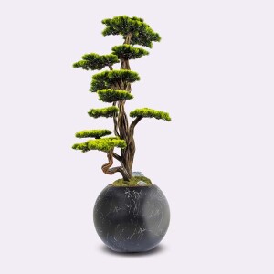 Mira Bonsai-6 Saksılı Çiçek - TepeHome (1)