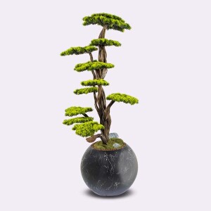Mira Bonsai-6 - 3