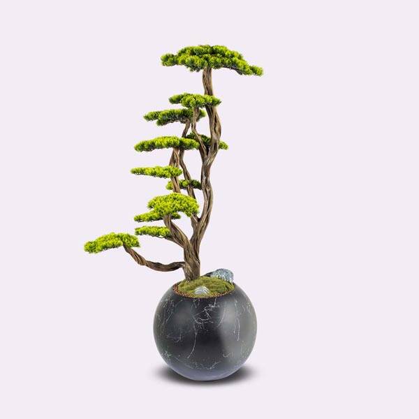 Mira Bonsai-6 Saksılı Çiçek - 4