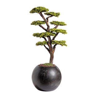 Mira Bonsai-8 Saksılı Çiçek - TepeHome