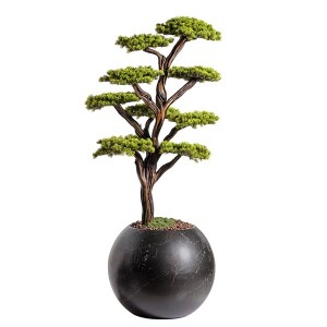 Mira Bonsai-8 Saksılı Çiçek - 4