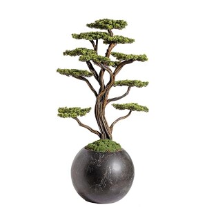 Mira Bonsai-9 - TepeHome