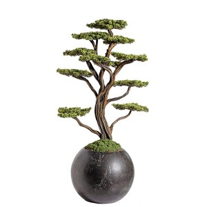 Mira Bonsai-9 Saksılı Çiçek - TepeHome