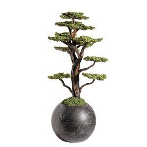 Mira Bonsai-9 Saksılı Çiçek - TepeHome (1)