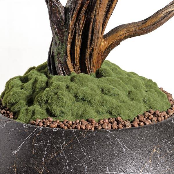 Mira Bonsai-9 Saksılı Çiçek - 4