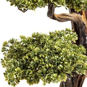 Mira Bonsai-9 - 5