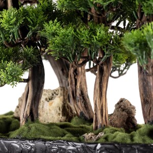 Navis Bonsai Garden Saksılı Çiçek - TepeHome (1)