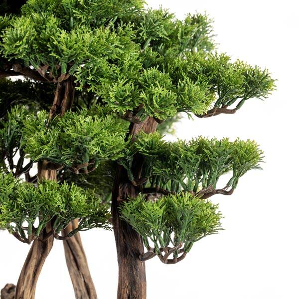 Navis Bonsai Garden - 3