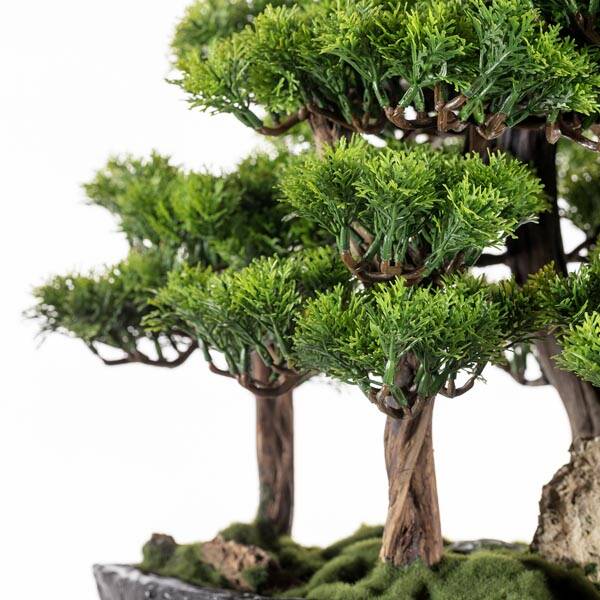 Navis Bonsai Garden Saksılı Çiçek - 4