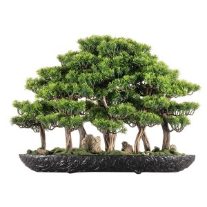 Navis Bonsai Garden Saksılı Çiçek - 6