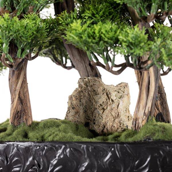 Navis Bonsai Garden Saksılı Çiçek - 7