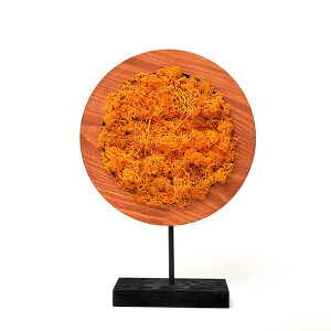 Orange Round Moss Yosunlu Dekoratif Obje - TepeHome