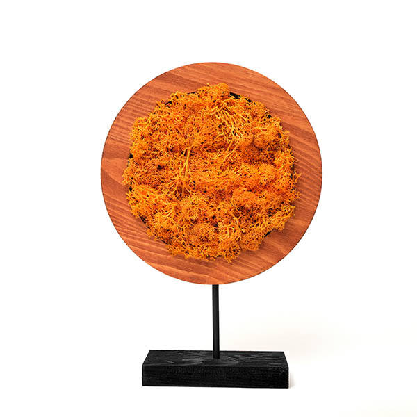 Orange Round Moss Yosunlu Dekoratif Obje - 1