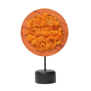 Orange Round Moss Yosunlu Dekoratif Obje - 1