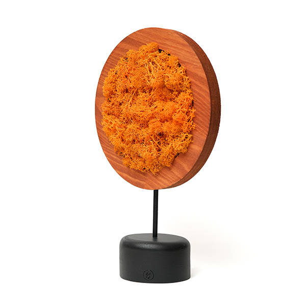 Orange Round Moss Yosunlu Dekoratif Obje - 3