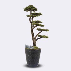 Orion Bonsai-1 Saksılı Çiçek - TepeHome