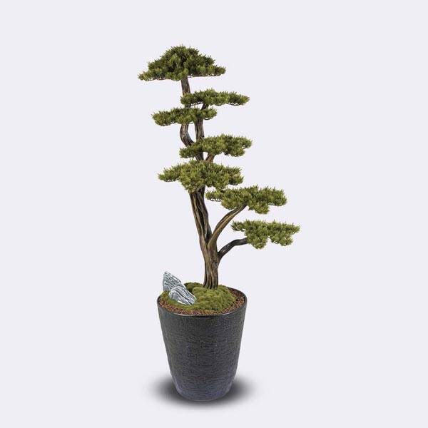 Orion Bonsai-1 Saksılı Çiçek - 3