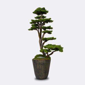 Orion Bonsai-3 Saksılı Çiçek - TepeHome