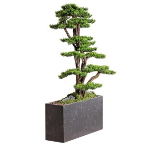 Polaris Thuja - TepeHome