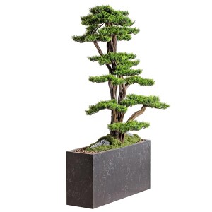 Polaris Thuja Saksılı Çiçek - TepeHome