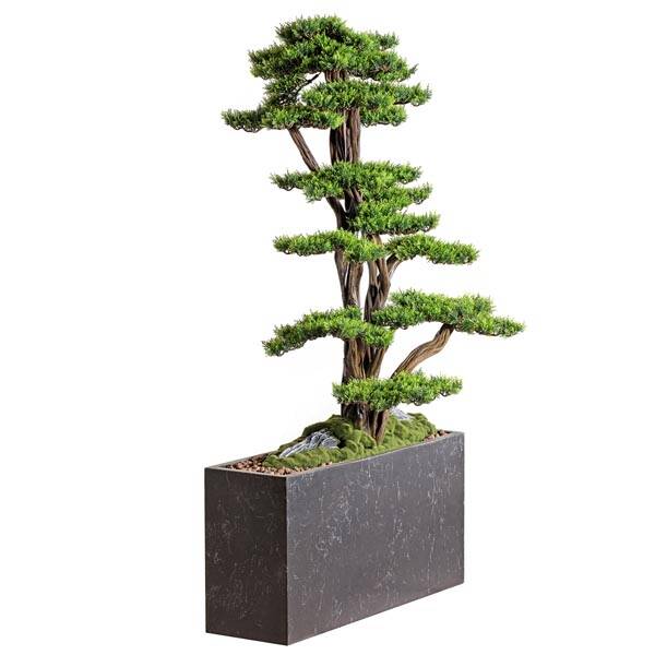 Polaris Thuja Saksılı Çiçek - 1