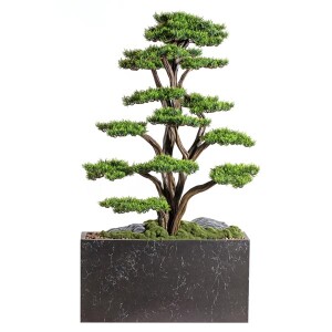 Polaris Thuja Saksılı Çiçek - 2