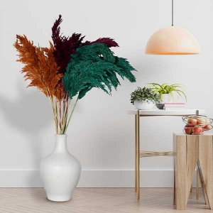Seramik Vazo 15 Adt Pampas Trnc-Brd-Ysl - TepeHome