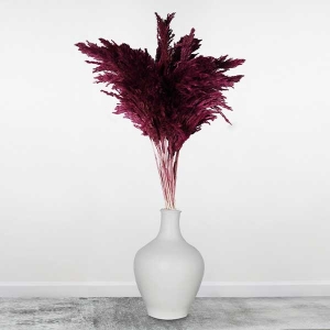 Seramik Vazo Ve 15 Adet Pampas Byz-Bordo - TepeHome (1)