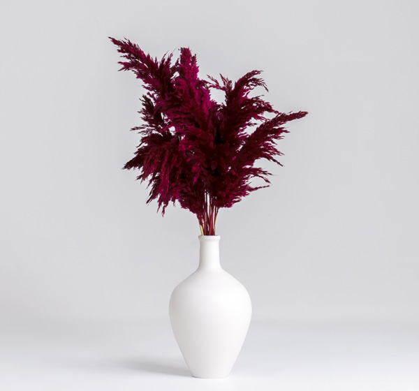 Seramik Vazo Ve 15 Adet Pampas Byz-Bordo - 4