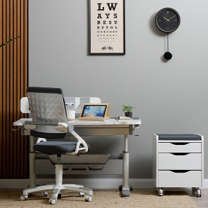 Sirius Dlxe Çalışma Masası Sandalye Set - TepeHome