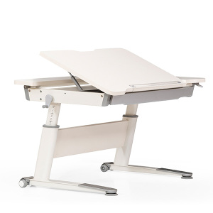 Sırıus Sımple Çalışma Masası Ekru-Gri - 5