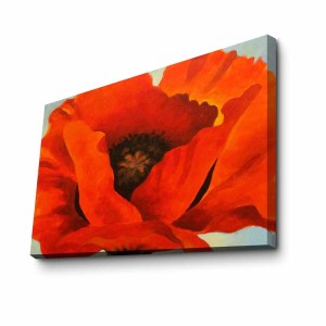 Süet Tablo 70100FAMOUSART-047 - TepeHome